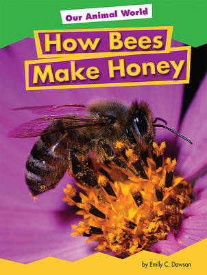 Book cover for How Bees Make Honey