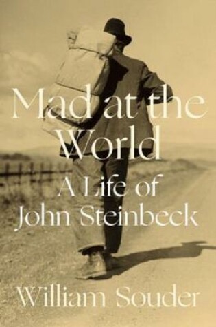 Cover of Mad at the World