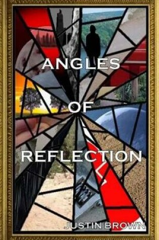Cover of Angles of Reflection