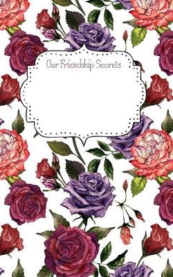 Book cover for Our Friendship Secrets Notebook