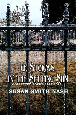 Book cover for Ice Storms in the Setting Sun