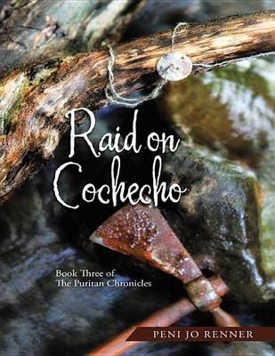 Book cover for Raid on Cochecho