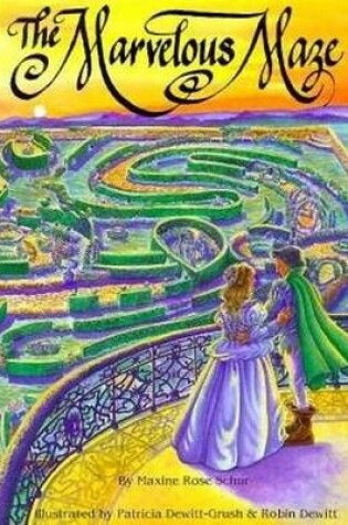 Cover of Marvelous Maze