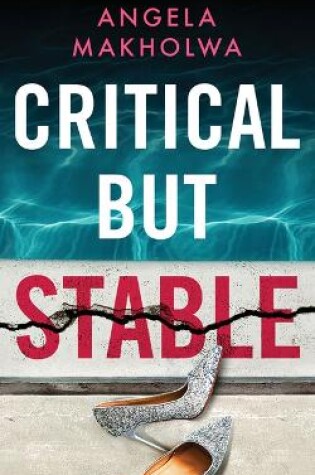 Cover of Critical But Stable