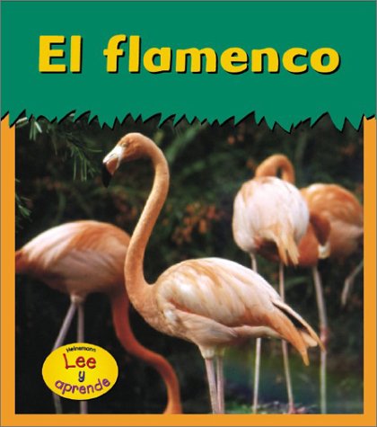 Book cover for El Flamenco