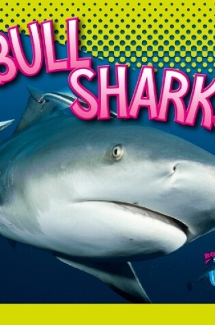 Cover of Bull Sharks