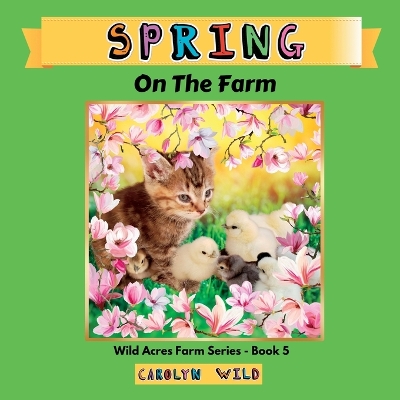 Book cover for Spring