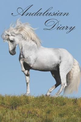 Book cover for Andalusian Diary