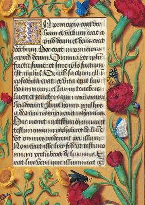 Book cover for Carnet Blanc, Heures Anne de Bretagne, Oeillets