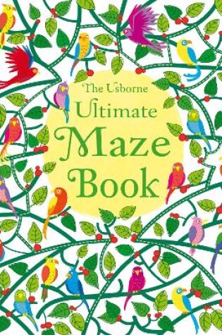 Cover of Ultimate Maze Book