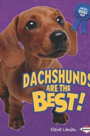 Cover of Dachshunds Are the Best!