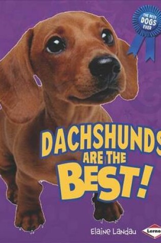 Cover of Dachshunds Are the Best!