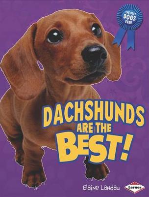 Book cover for Dachshunds Are the Best!