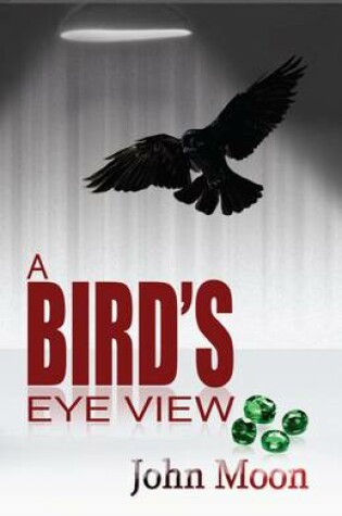 Cover of A Bird's Eye View