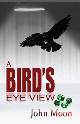 Book cover for A Bird's Eye View