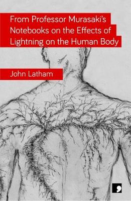 Book cover for From Professor Murasaki's Notebooks on the Effects of Lightning on the Human Body