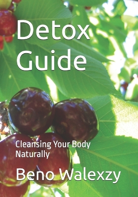 Book cover for Detox Guide