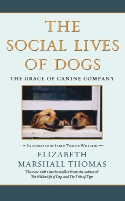 Book cover for Social Lives of Dogs