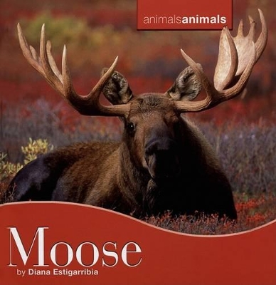 Book cover for Moose