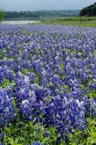 Cover of Huge Blue Bonnet Field Near Austin, Texas Journal