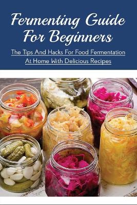 Book cover for Fermenting Guide For Beginners