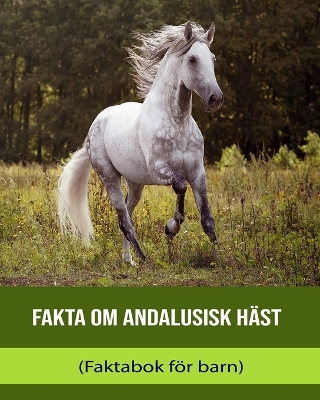 Book cover for Fakta om Andalusisk häst (Faktabok för barn)