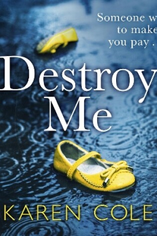 Cover of Destroy Me