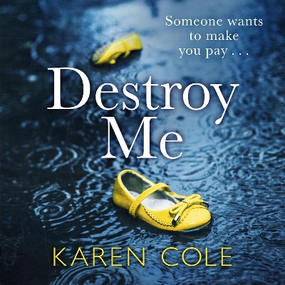 Book cover for Destroy Me