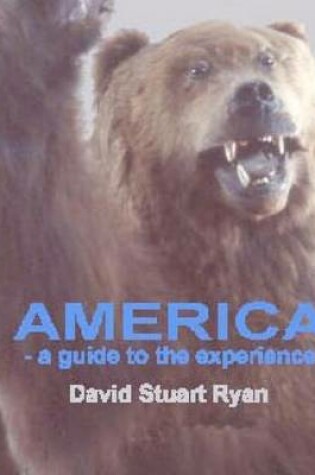 Cover of America - a guide to the experience