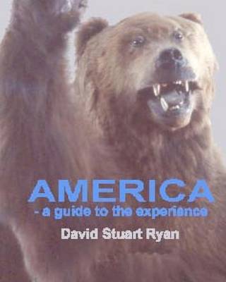 Book cover for America - a guide to the experience