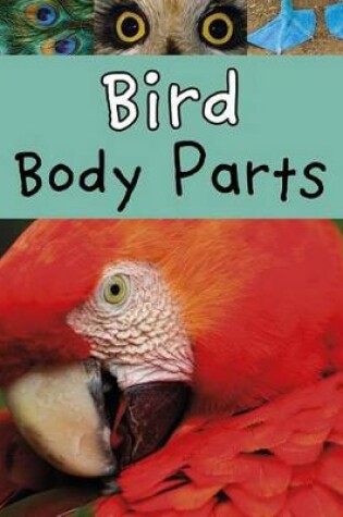 Cover of Bird Body Parts (Animal Body Parts)