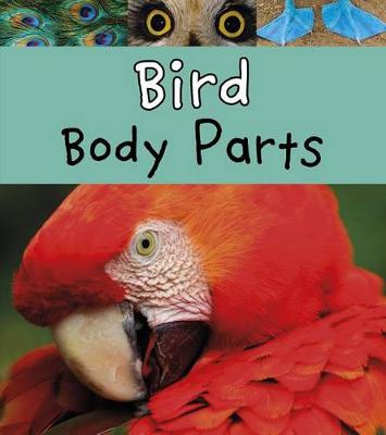 Book cover for Bird Body Parts (Animal Body Parts)