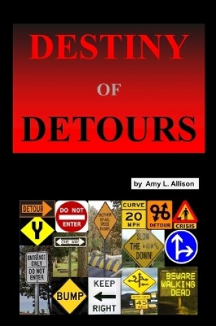 Cover of Destiny of Detours