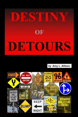 Book cover for Destiny of Detours