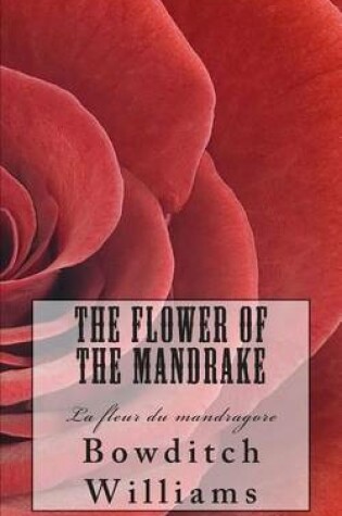 Cover of The Flower of the Mandrake