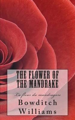 Book cover for The Flower of the Mandrake