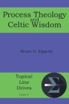 Book cover for Process Theology and Celtic Wisdom