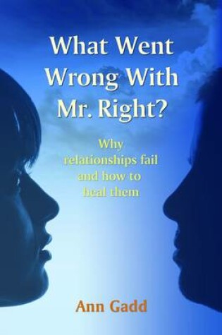 Cover of What Went Wrong with Mr Right