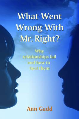 Book cover for What Went Wrong with Mr Right