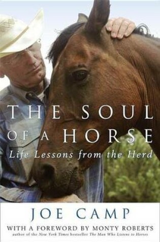 Cover of Soul of a Horse