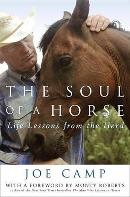 Book cover for Soul of a Horse