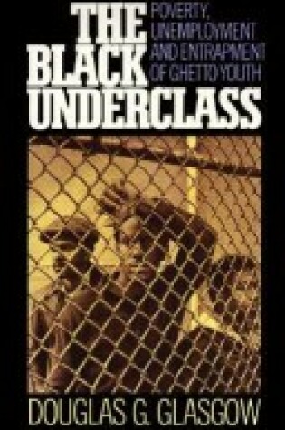 Cover of The Black Underclass