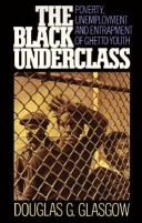 Book cover for The Black Underclass