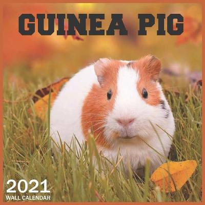 Book cover for guinea pig
