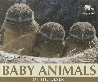 Book cover for Baby Animals of the Desert