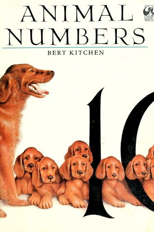 Cover of Kitchen Bert : Animal Numbers (Pbk)