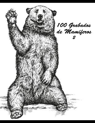 Book cover for 100 Grabados de Mamíferos 2