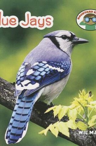 Cover of Blue Jays