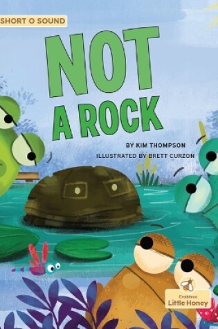 Cover of Not a Rock