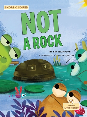 Book cover for Not a Rock